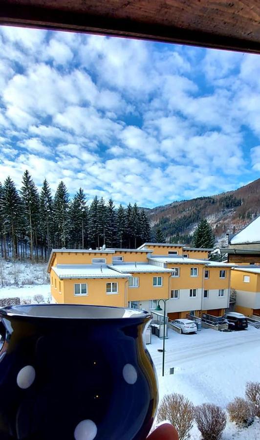 Ferienwohnung Bergspass Gaming Exteriér fotografie